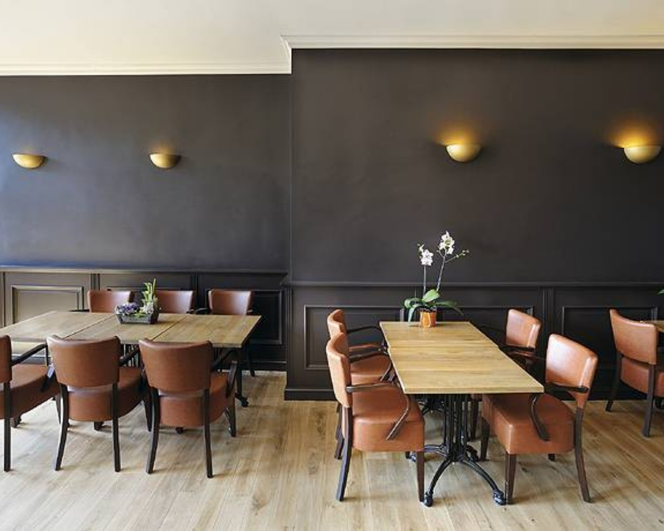 Mur en stuc avec moulure restaurant Belle-Île en mer